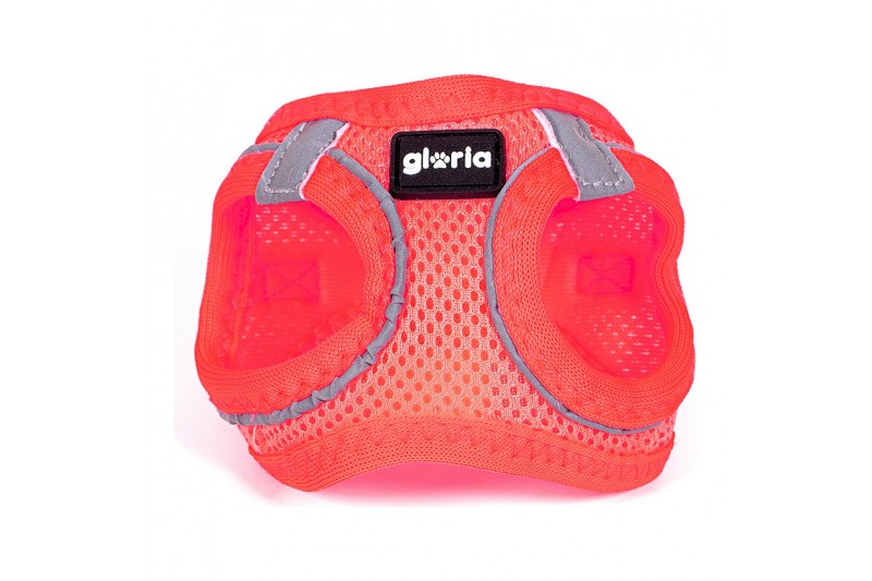 Dog Harness Gloria Air Mesh Trek Star...