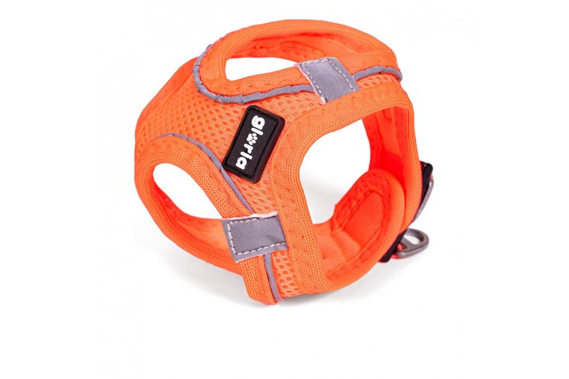 Dog Harness Gloria Air Mesh Trek Star...