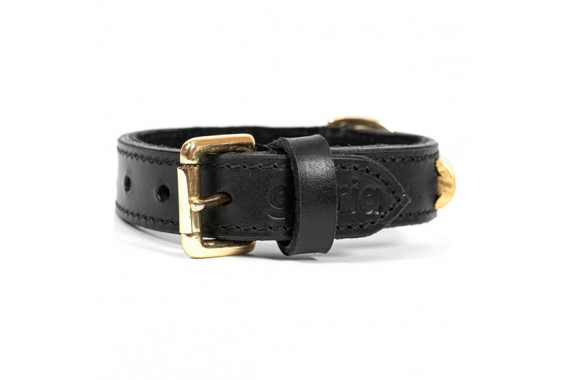 Dog collar Gloria Duna Black Golden...