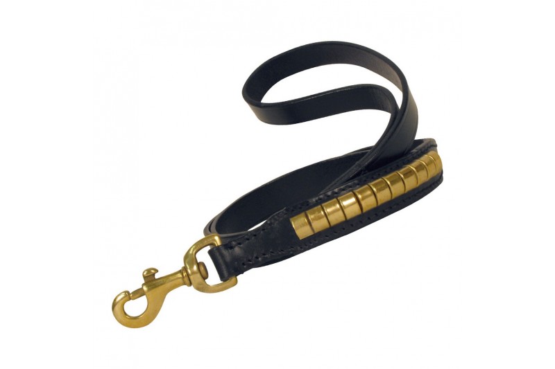 Dog Lead Gloria Duna Black 110 cm