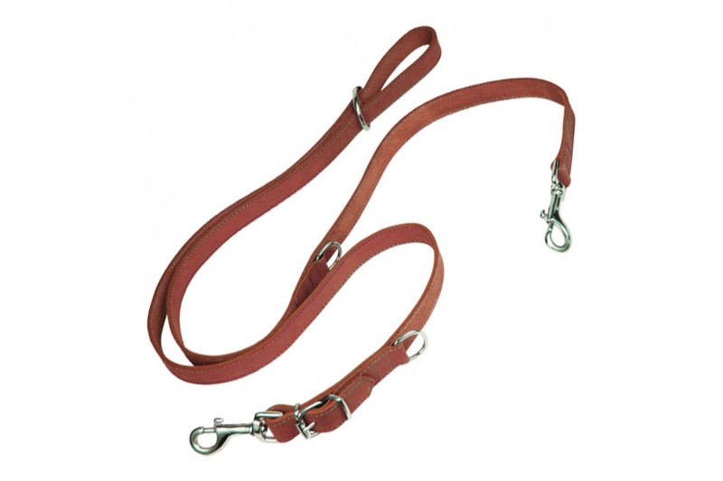 Dog Lead Gloria Oasis Multiple 2.1 x...