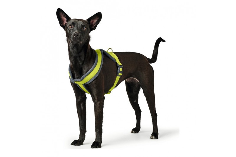 Hundegeschirr Hunter London Comfort...