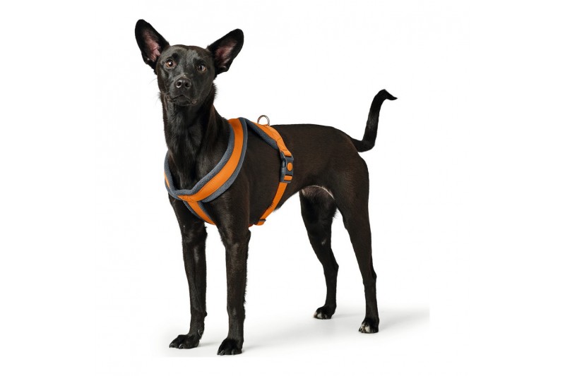 Hundegeschirr Hunter London Comfort...