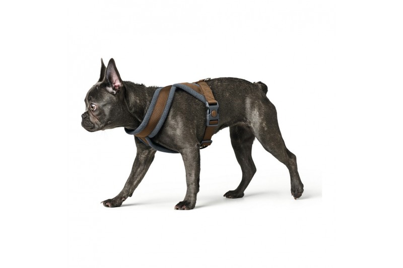 Harnais pour Chien Hunter London...