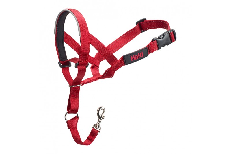 Dog Training Collars Company of...