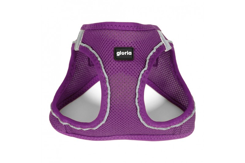 Dog Harness Gloria Air Mesh Trek Star...