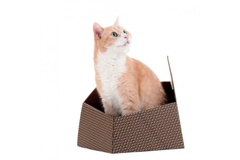 Cat toy United Pets Kitty Brown Box...