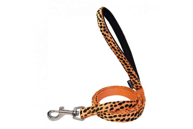 Dog Lead Gloria 1.5 x 120 cm Orange