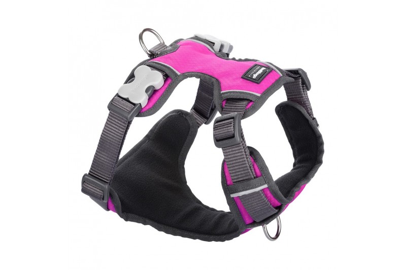 Dog Harness Red Dingo Padded Fuchsia...