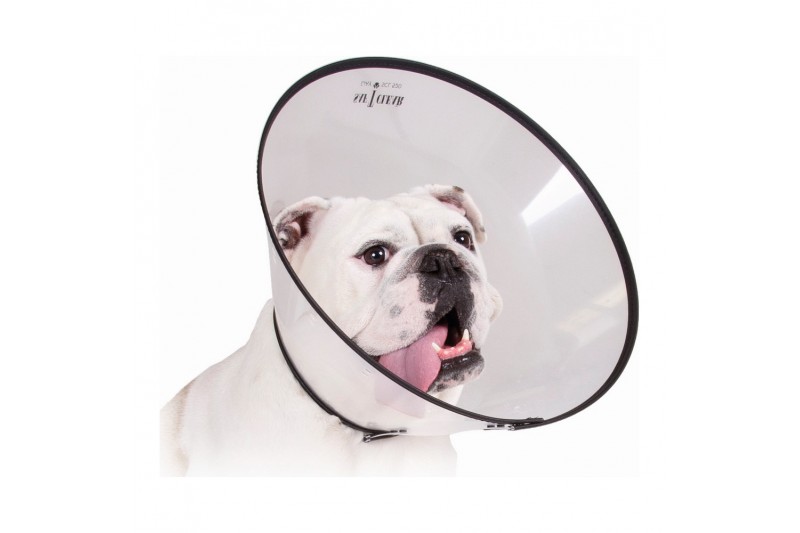 Elizabethan Dog Collar KVP...