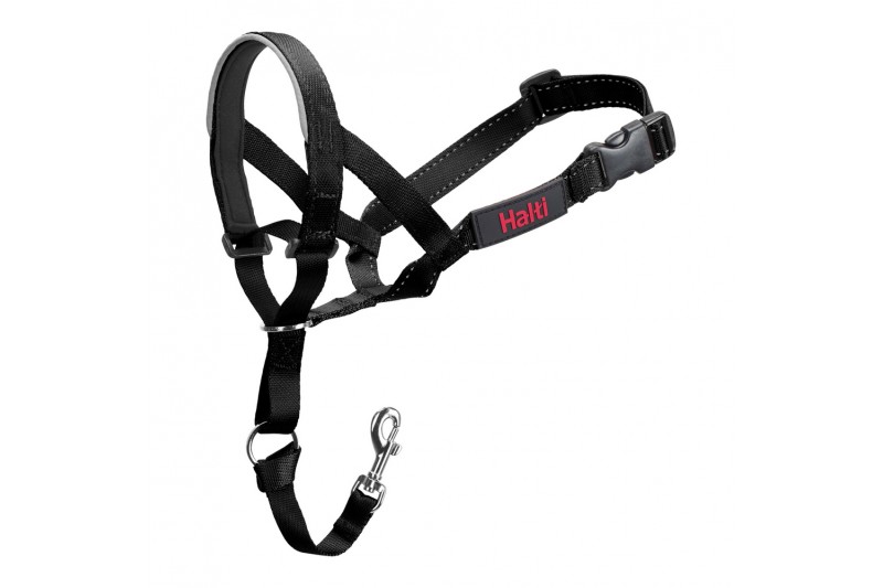 Dog Training Collars Company of...