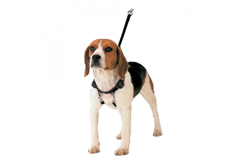 Arnés para Perro Gloria 30-42 cm Talla M