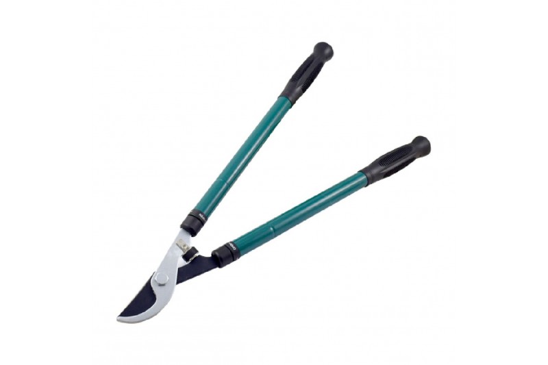 Garden Scissors Ferrestock Blue