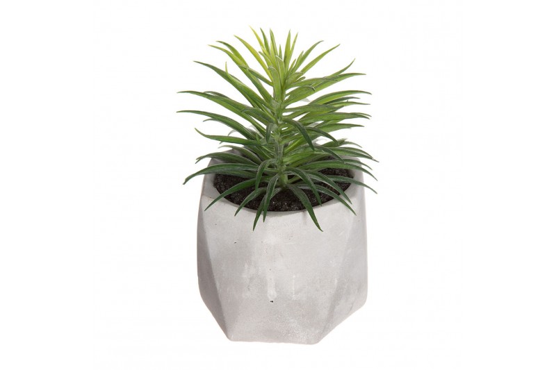 Decorative Plant Atmosphera 7 x 14 cm...