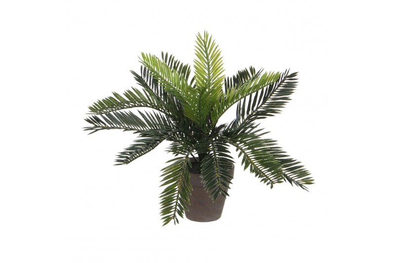 Decoratieve plant Mica Decorations...