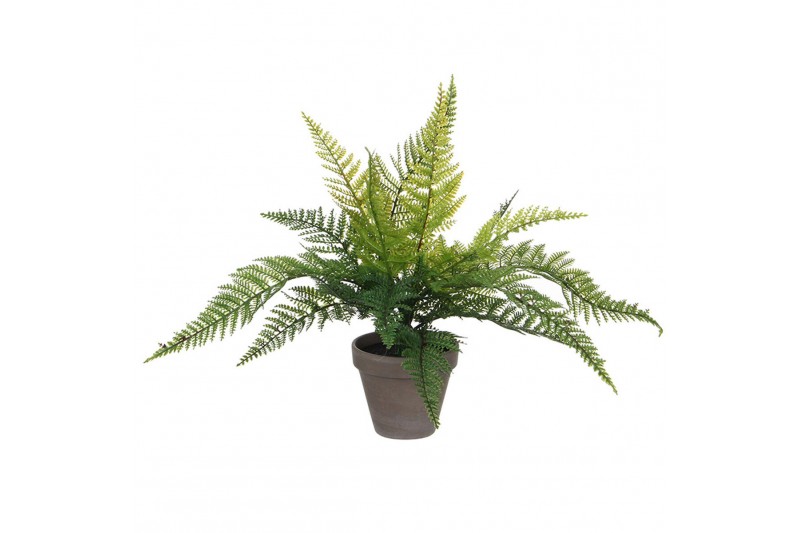 Decoratieve plant Mica Decorations 40...