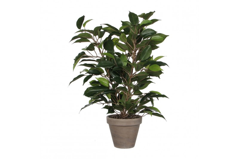 Planta Decorativa Mica Decorations 40...