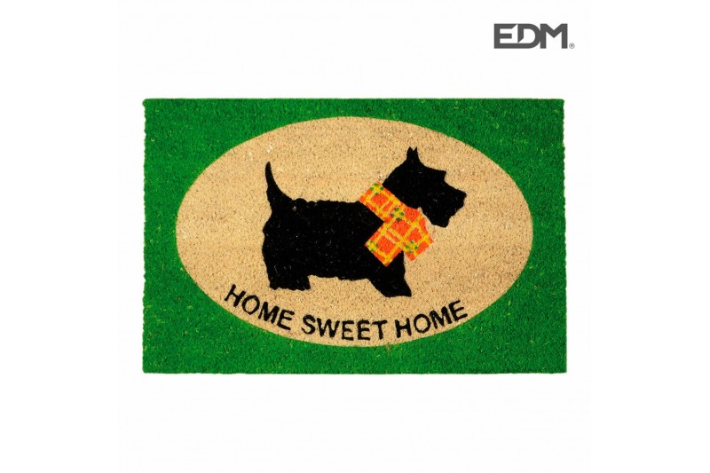 Doormat EDM Green Fibre (60 x 40 cm)