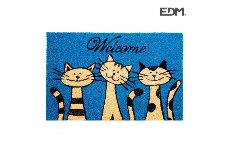 Doormat EDM Blue Fibre (60 x 40 cm)