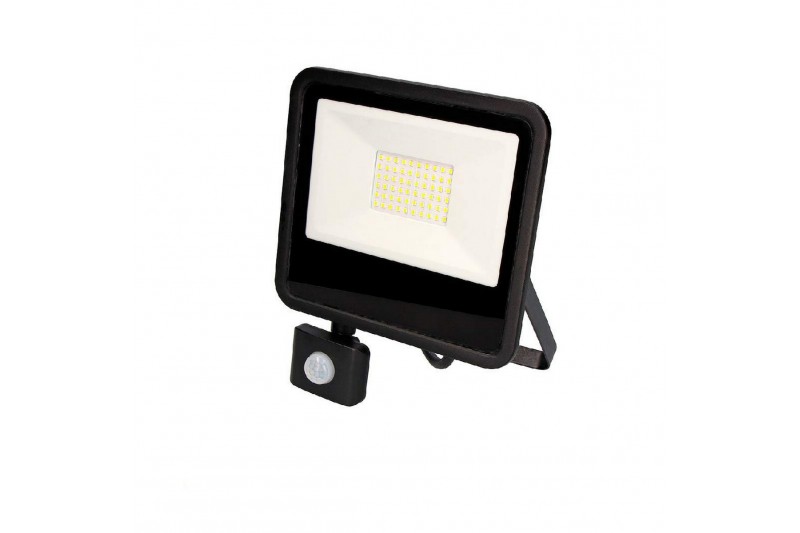 Floodlight/Projector Light EDM 50 W...