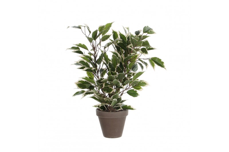 Planta Decorativa Mica Decorations 4...