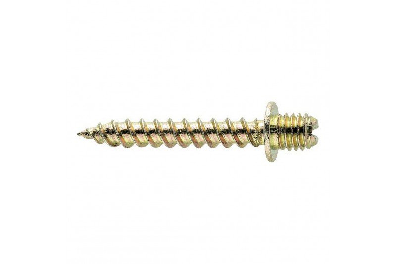 Screw CELO 100 Units (M6 x 25 mm) (6...