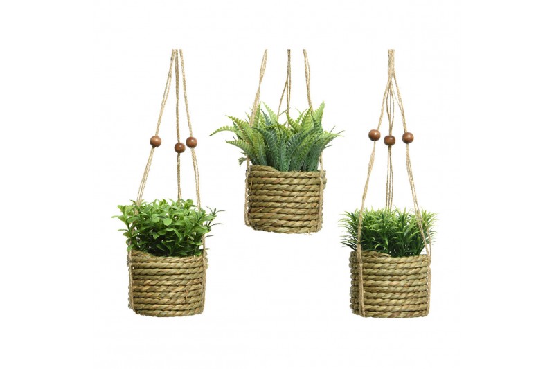 Decorative Plant Everlands 8 x 12 cm...