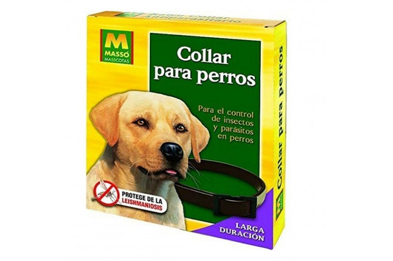 Collier pour Chien Massó Antiparasites