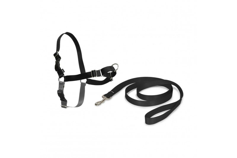 Pet Harness PetSafe Easy Walk Black...