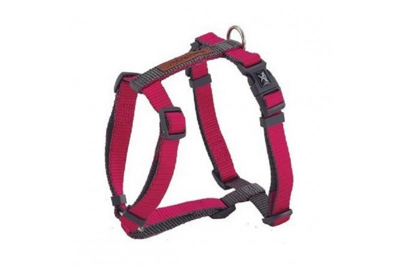 Pet Harness Nayeco x-trm 25-40 x 1 cm...