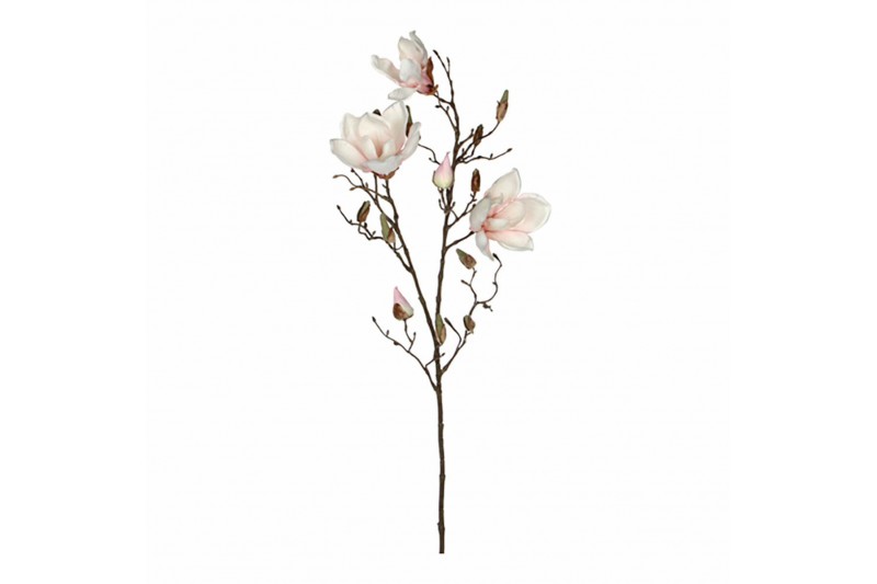 Boeketten Mica Decorations Magnolia...