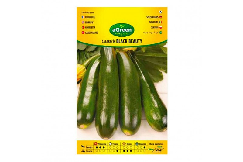 Seeds aGreen Ecological Courgette