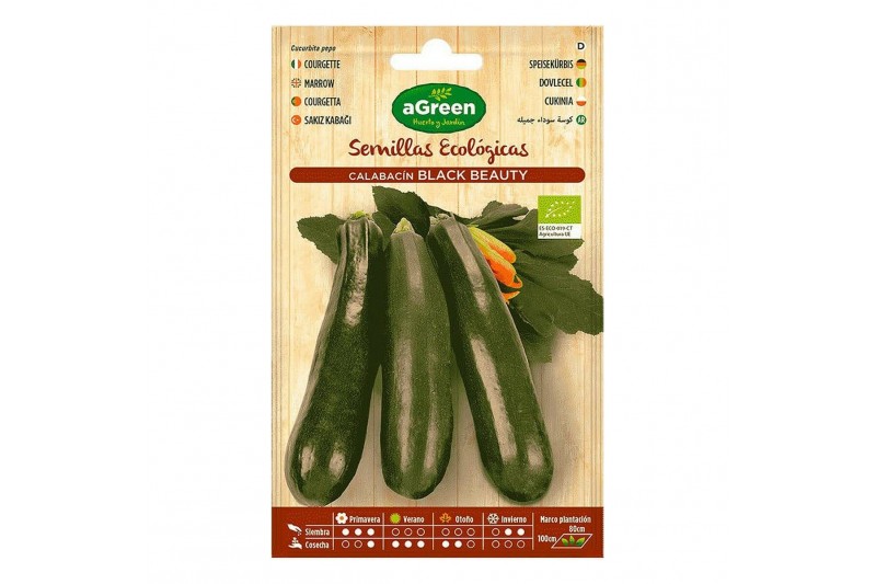 Samen aGreen Ökologisch Zucchini