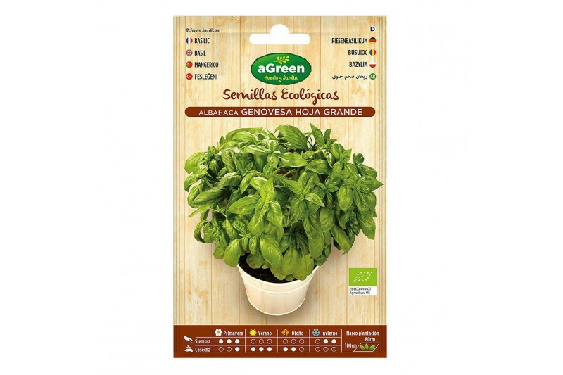 Seeds aGreen Ecological Basil