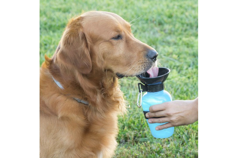 Botella Bebedero de Agua para Perros...