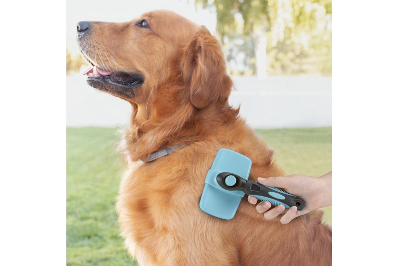 Brosse pour Animaux de Compagnie avec...