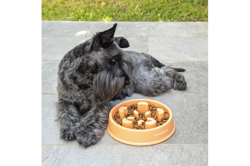 Slow Eating Food Bowl for Pets Slowfi...