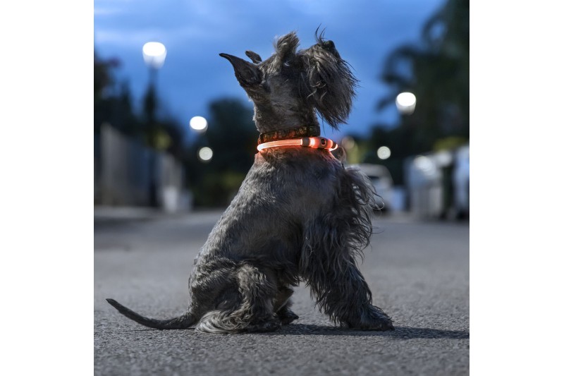 Collar LED para Mascotas Petlux...