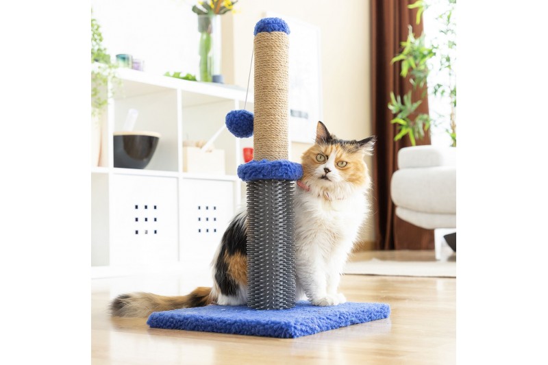 Cat Scratching and Massage Post with...