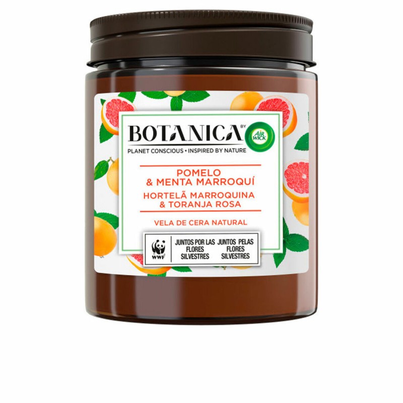 Bougie Parfumée Air Wick Botanica...