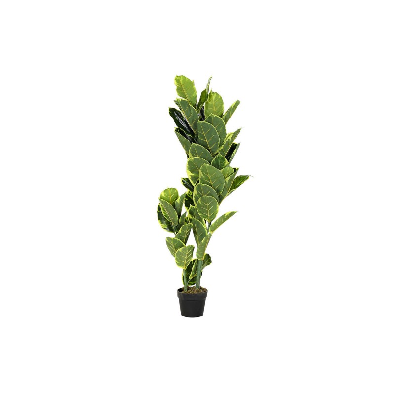 Decoratieve plant DKD Home Decor...