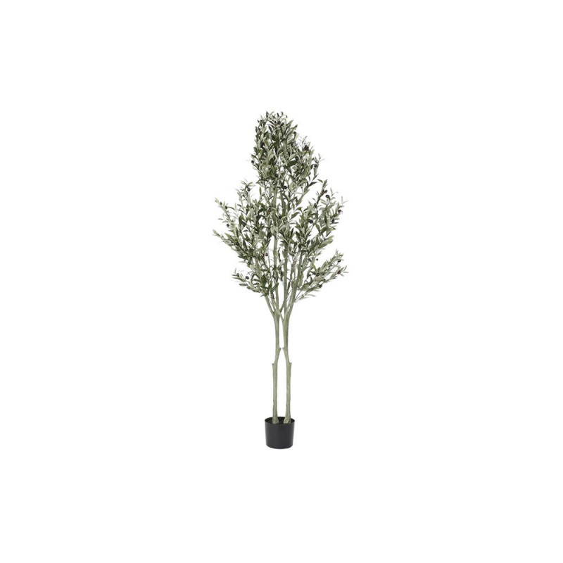 Albero DKD Home Decor 80 x 80 x 180...