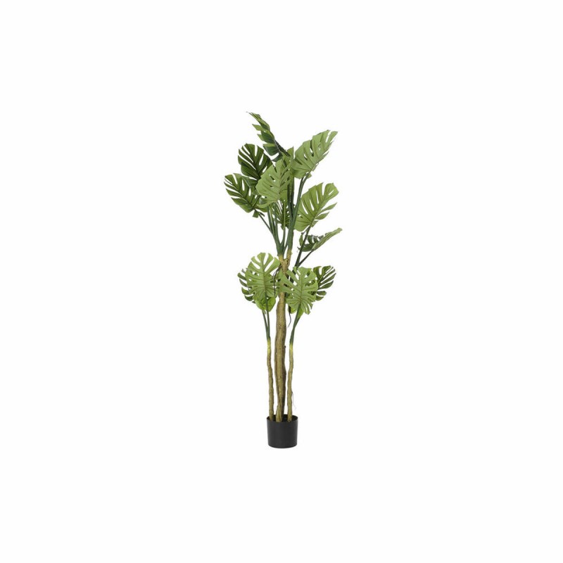 Albero DKD Home Decor Monstera 75 x...