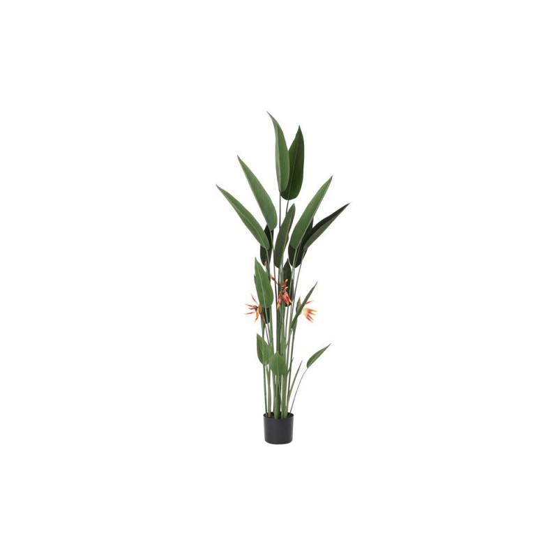 Decorative Plant DKD Home Decor 75 x...