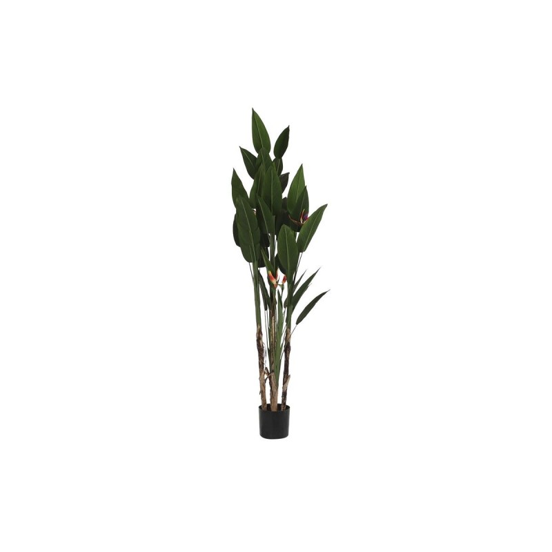 Planta Decorativa DKD Home Decor (90...