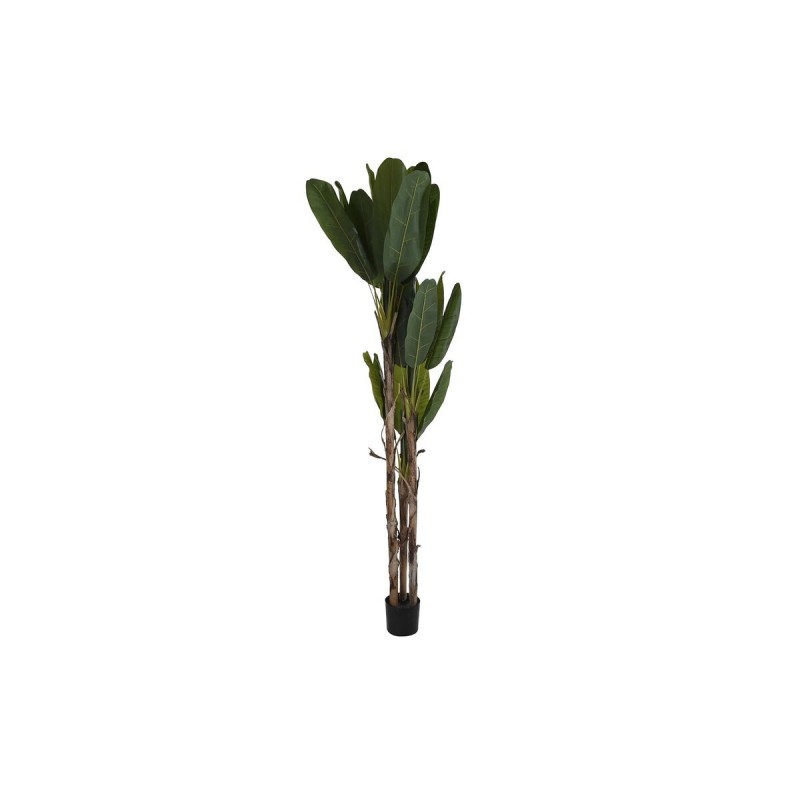 Decoratieve plant DKD Home Decor...