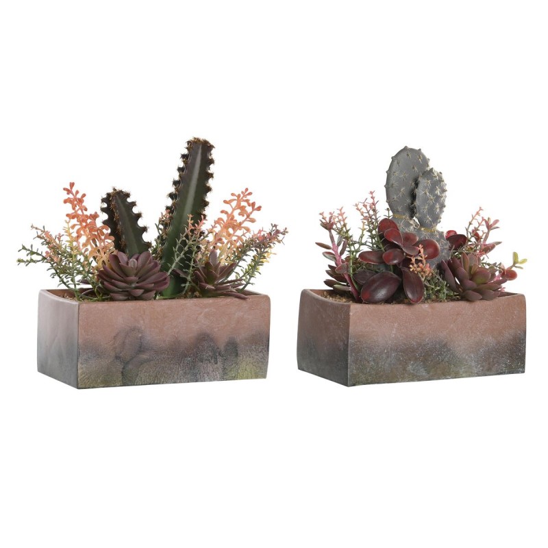 Decoratieve plant DKD Home Decor 19 x...