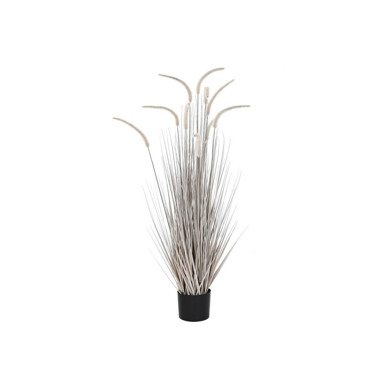 Plante décorative DKD Home Decor Gris...