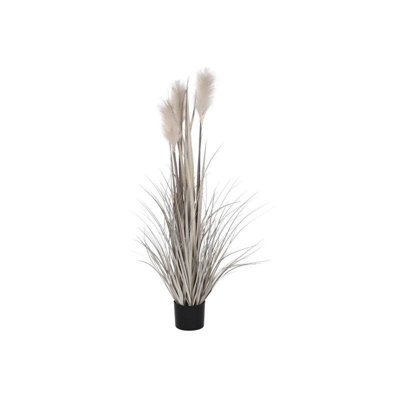 Decorative Plant DKD Home Decor Brush...