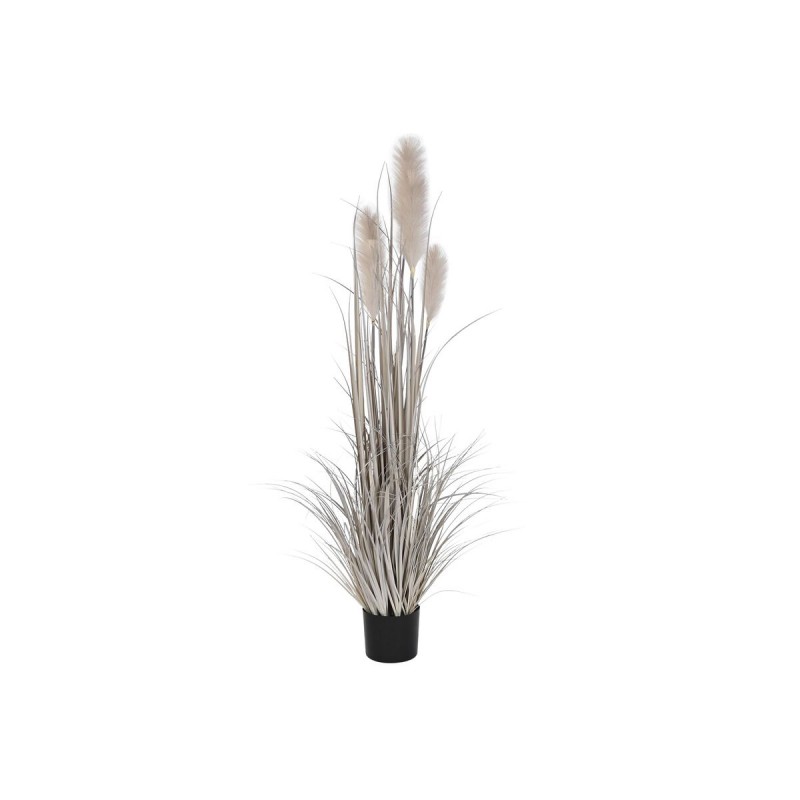 Decorative Plant DKD Home Decor Brush...